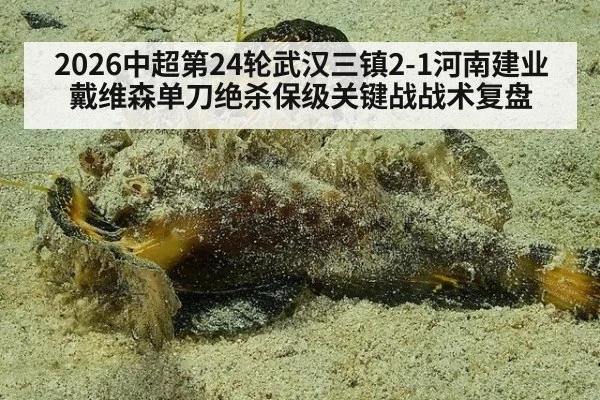 2026中超第24轮武汉三镇2-1河南建业戴维森单刀绝杀保级关键战战术复盘